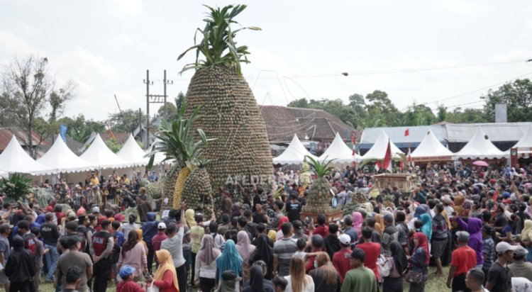 Acara Pineaplle Festival, Upaya Pemkab Kediri Optimalkan Potensi Nanas