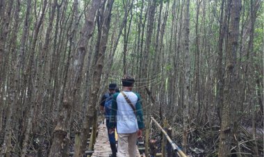 Teluk Pangpang Banyuwangi Wisata Aneka Ragam Flora dan Fauna