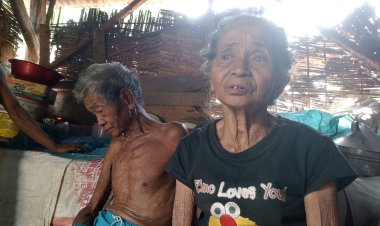 Pasutri Lansia di Jember Tidur di Kandang Sapi Ternyata tidak Punya KTP, Bagaimana Bisa Dapat Bantuan Pemerintah