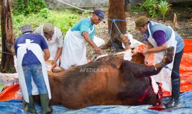 Petugas DKPP Kabupaten Kediri Cek Daging Kurban