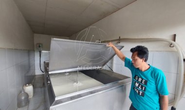 Warga Lereng Gunung Wilis Kediri Sukses Bangun Kampung "Susu Sapi Perah"