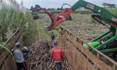 TMA 2023 PTPN XII Kebun Kalitelepak Serap Ribuan Tenaga Kerja