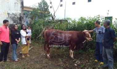 Hari Raya Idul Adha 1444 H, DPD Partai Golkar Trenggalek Kurban Dua Ekor Sapi