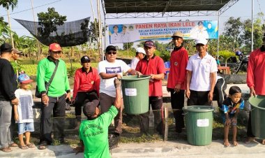 20 Ribu Ekor Ikan Lele Sekali Panen, Pemdes Sidoraharjo Bagikan ke Masyarakat
