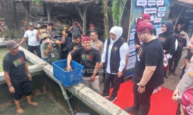Gubernur Khofifah Panen Ikan di Republik Lele Pare