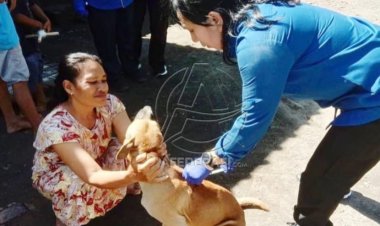 Kesejahteraan Masyarakat Banyuwangi Berikan Vaksin Kepada Hewan Peliharaan