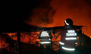 Korsleting Listrik, Ribuan Ayam Hangus Terbakar
