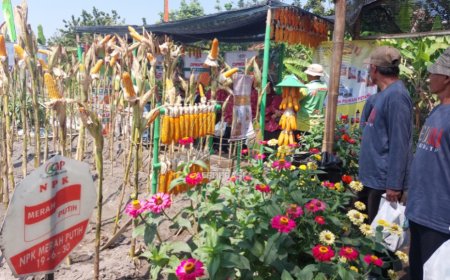 Lewat Gertak 2023, Dispertabun Kediri Ingin Pertanian Berkelanjutan