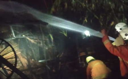 Usaha Pemotongan Kayu di Bondowoso Terbakar, 5 Armada Diturunkan