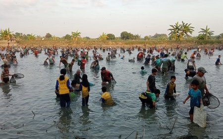 Tradisi Ngubek Srumbung, Ratusan Warga di Gresik Berebut Ikan Gratis di Waduk