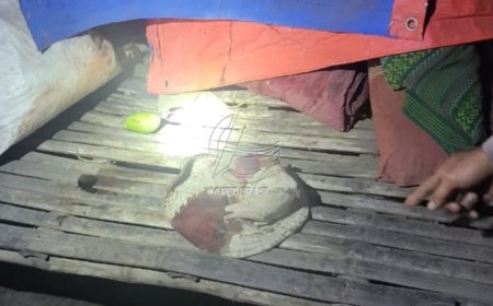 Pembuang Bayi di Kandat Ditangkap, Pelaku Ibu Kandung Sendiri