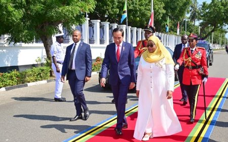 Hari Ketiga di Afrika, Presiden Jokowi Bertemu dengan Presiden Tanzania
