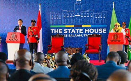 Presiden Jokowi Sampaikan Komitmen Indonesia Wujudkan Kolaborasi Konkret dengan Afrika