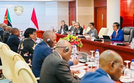 Presiden Jokowi Sampaikan Komitmen Indonesia Perkuat Kemitraan dengan Mozambik