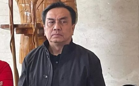 Profil Effendi Simbolon, Tak Jadi Caleg PDIP hingga Ngaku Mau Nyapres