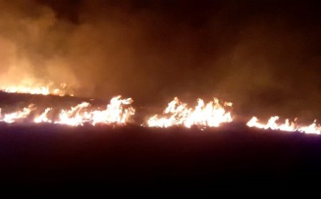 10 Hektar Ilalang Kering di Kawasan Wisata Kawah Wurung Bondowoso Terbakar