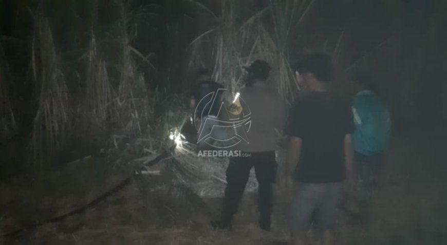 Lahan Tebu di Kediri Terbakar, Kerugian Capai Rp 100 juta