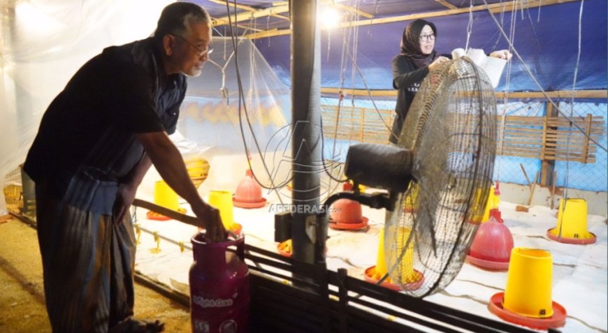 Ratusan Peternak di Kediri Beralih Elpiji Non Subsidi