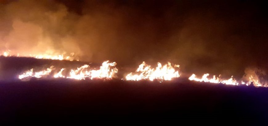 10 Hektar Ilalang Kering di Kawasan Wisata Kawah Wurung Bondowoso Terbakar