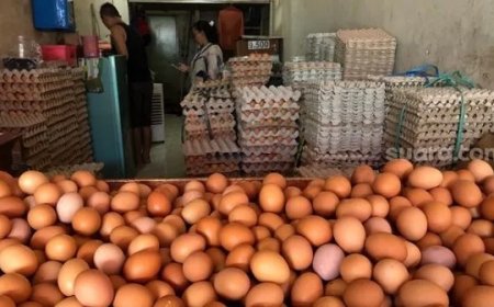 Jokowi Bakal Berikan Bansos Daging dan Telur Ayam