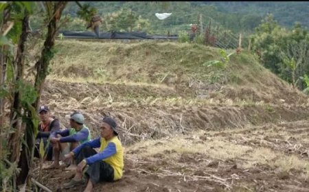 Lebih 31 Hari Tak Dapat Guyuran Hujan, Tiga Kecamatan di Sulawesi Utara Siaga Kekeringan
