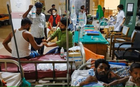 WHO: Bangladesh Dilanda Wabah Demam Berdarah Terburuk