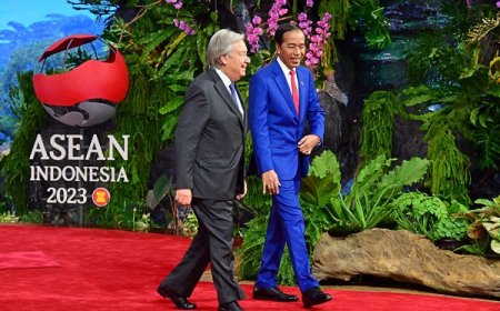Presiden Jokowi Dorong Sinergi ASEAN-PBB Jaga Perdamaian Kawasan