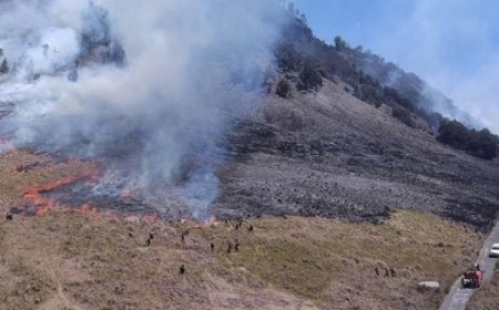 Heboh Bukit Teletubbies Bromo Kebakaran Gara-Gara Prewedding Pakai Flare, Apa Risiko Bahayanya?