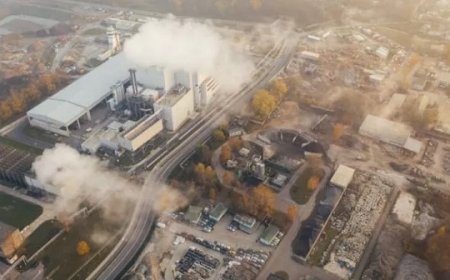 Ramai-ramai BUMN dan Swasta Garap Bisnis Baru Perdagangan Karbon