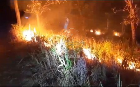 Polisi Selidiki Penyebab Kebakaran Lahan Perhutani di Tulungagung