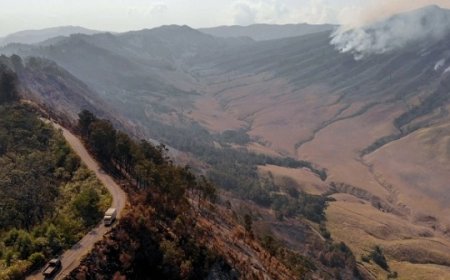 Ditutup Total! Kabar Terkini Kebakaran Gunung Bromo, Akses Cuma Untuk Warga Ranupani Dan Ngadas