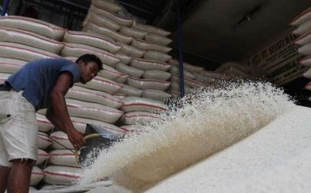 Pemerintah Akan Salurkan Beras SPHP Melalui Pasar Induk Beras Cipinang