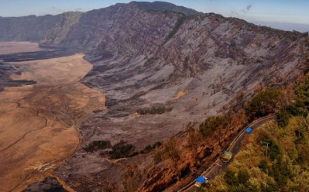 Viral Pemandangan Savana Bromo Sebelum vs Sesudah Terbakar: Jadi Hitam Legam!