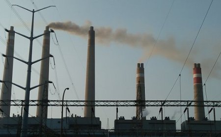 PLN IP Sebut PLTU Suralaya Kelola Emisi dengan Baik, Nih Buktinya