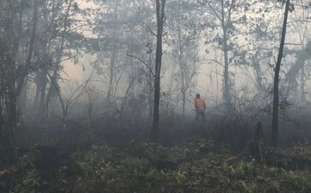 Bandara Internasional Syamsudin Noor Banjarbaru Mulai Terdampak Kebakaran Lahan Gambut