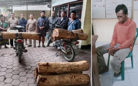 1 Warga Bondowoso, 14 Gelondong Kayu Sonokeling dan 7 Motor Diamankan, 6 Terduga Pencuri Kabur