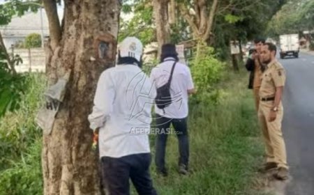 DLH Tulungagung Inventaris Aset Pemkab  Berupa Pohon Sonokeling, Nominal Capai Milyaran