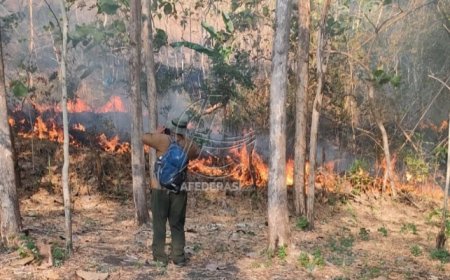 10 Hektare Lahan di Hutan Sanggrahan Tulungagung  Terbakar