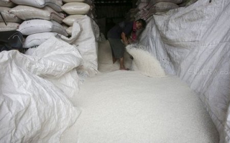 Alasan Produksi Beras Indonesia Tidak Mampu Penuhi Kebutuhan Dalam Negeri