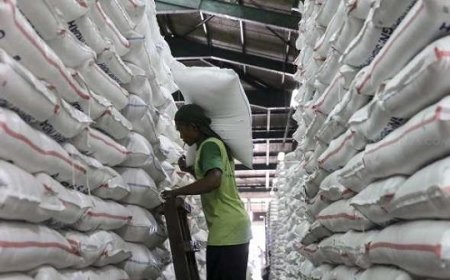 Harga Beras Kian Mahal, Penduduk Miskin RI Berpotensi Naik?