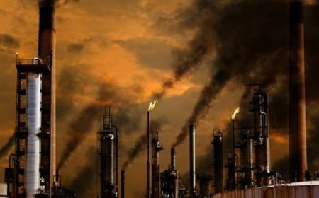 KLHK Bakal Perketat Baku Mutu Emisi Sektor Transportasi dan Industri