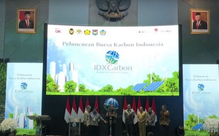 Presiden Jokowi Resmi Buka Bursa Karbon Indonesia: Kontribusi Nyata dalam Mengatasi Perubahan Iklim