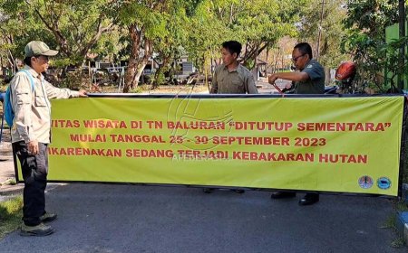 Kebakaran Melanda Taman Nasional Baluran, Wisatawan Dilarang Masuk!