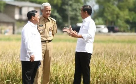 Kelompok Relawan Projo Ungkap Dukungan Capres 2024: Siapa P yang Dimaksud?