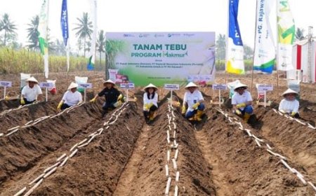 Petrokimia Gresik Pertahankan Jawa Timur sebagai Lumbung Gula Nasional