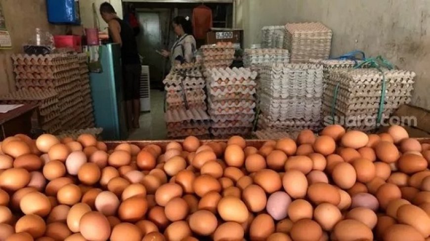 Jokowi Bakal Berikan Bansos Daging dan Telur Ayam