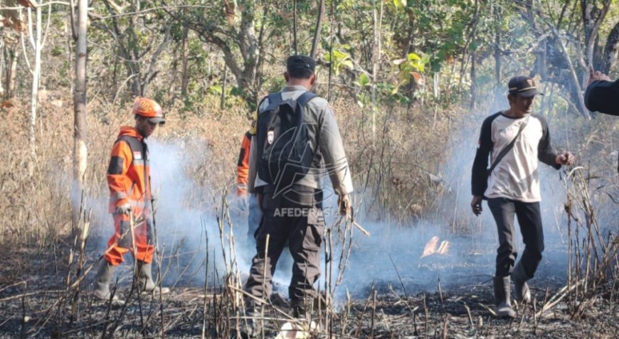 Kawasan Lereng Gunung Klotok Kediri Terbakar