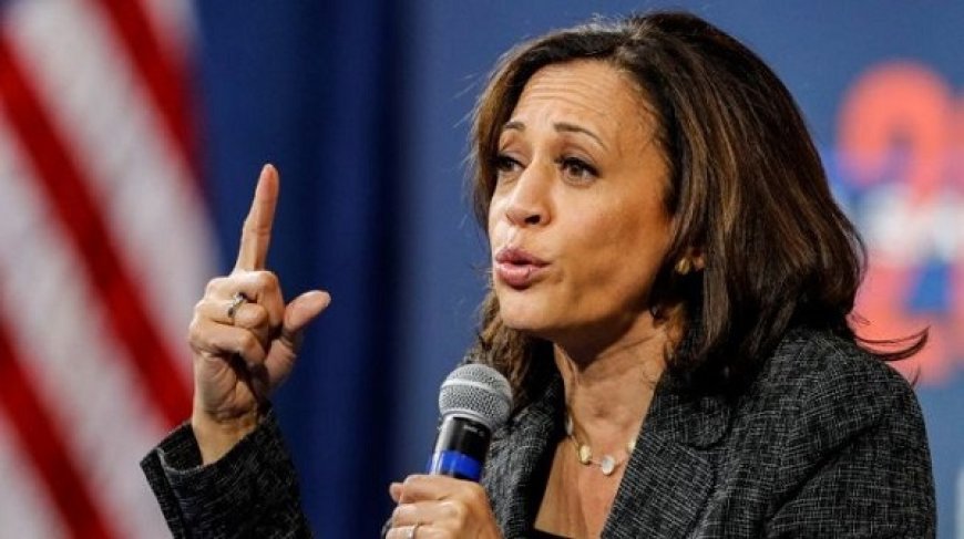 Profil Kamala Harris, Sosok Wapres AS Hadir di KTT ASEAN 2023