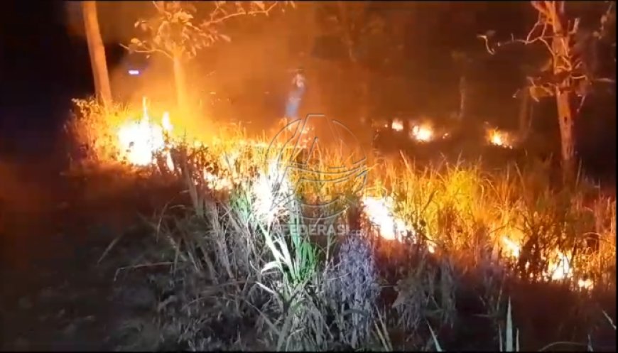 Polisi Selidiki Penyebab Kebakaran Lahan Perhutani di Tulungagung