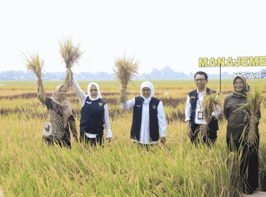 Desa Ngarjo Kabupaten Mojokerto Jadi Lokasi Manjemen Tanah Sehat